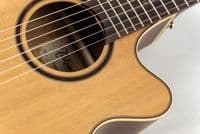 Takamine P3FCN Includes Soft Case
