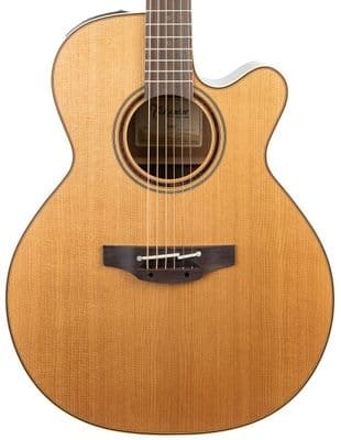 Takamine P3NC, with Soft Case