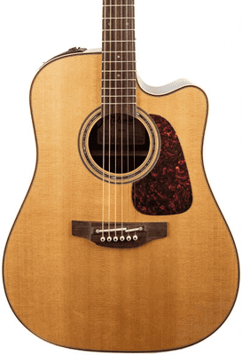 Takamine Pro P5DC