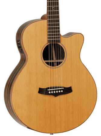 Tanglewood TJ8E