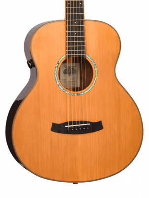 Tanglewood TRS1E