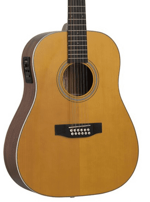 Tanglewood TW4012SDANE