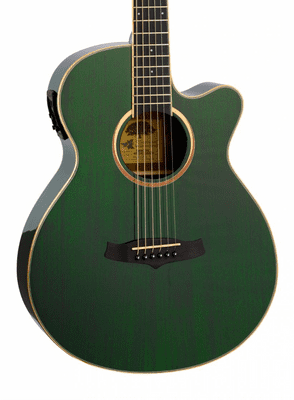 Tanglewood TW4CEFG