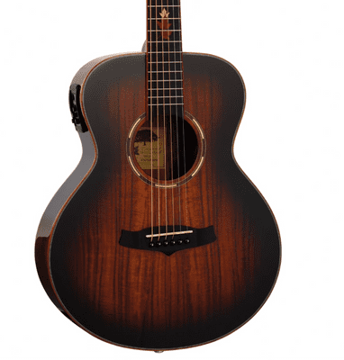 Tanglewood TWX1EK
