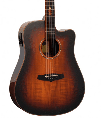 Tanglewood TWX5CEK