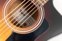Taylor 114ce Special Edition in Dark Tobaccoburst with Gigbag