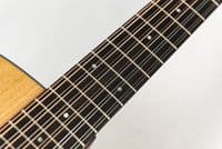 Taylor 150ce 12 String Electro Guitar  (Taylor Exclusive Extras Included)