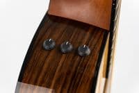 Taylor 214ce Plus Grand Auditorium Electro Acoustic  Pre Owned