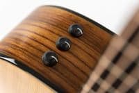 Taylor 214ce Plus Grand Auditorium Electro Acoustic  (Taylor Exclusive Extras Included)