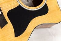 Taylor 214ce Plus Grand Auditorium Electro Acoustic  (Taylor Exclusive Extras Included)