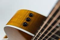 Taylor 217e Plus Special Edition Honeyburst, Inc AeroCase
