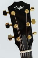 Taylor 217e Plus Special Edition Honeyburst, Inc AeroCase