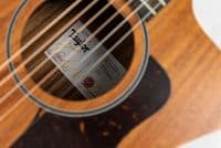 Taylor 24ce Guitar, Mahogany Top Electro with Gig Bag
