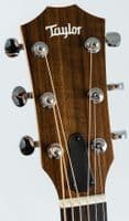 Taylor 24ce Guitar, Mahogany Top Electro with Gig Bag