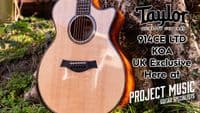 Taylor 914ce Ltd Koa Grand Auditorium SN: 1209203044