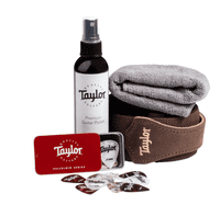 Taylor Academy 12e-N Nylon Electro Acoustic