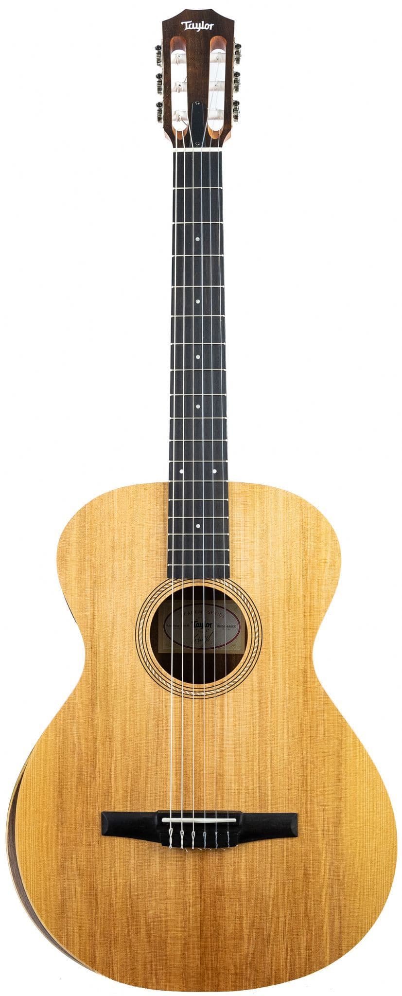 Taylor Academy 12eN Nylon Electro Acoustic