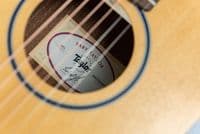 Taylor Baby Taylor (BT1)