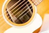 Taylor Ben Harper Gold Label 512e Special Edition with Case