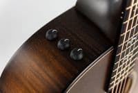 Taylor Builder's Edition 614ce Electro, Wild Honey Burst