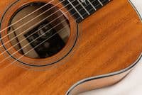 Taylor Custom Shop C22ce 12-Fret C0945 NAMM