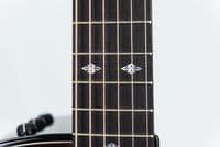 Taylor Custom Shop Grand Auditorium C14CE Striped Western Cedar