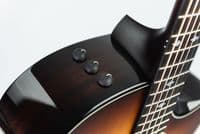 Taylor Custom Shop Grand Auditorium C14CE Striped Western Cedar