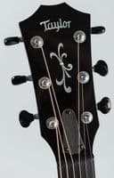 Taylor Custom Shop Grand Auditorium C14CE Striped Western Cedar