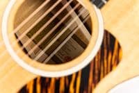 Taylor Gold Label 512e Grand Concert  with Case