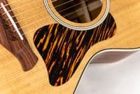 Taylor Gold Label 512e Grand Concert  with Case