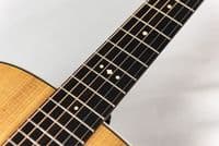 Taylor Gold Label 512e Grand Concert  with Case
