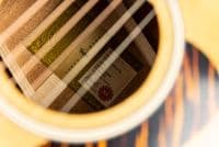 Taylor Gold Label 514e Sunburst Firestripe, Inc Case