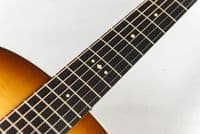 Taylor Gold Label 514e Sunburst Firestripe, Inc Case