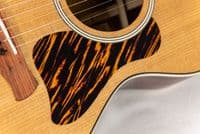 Taylor Gold Label 712e Grand Concert with Case