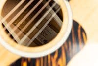 Taylor Gold Label Collection 517e Guitar, Natural Top, with Case
