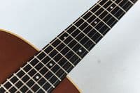 Taylor GS Mini-e Special Honeyburst