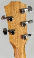 Taylor Jacob Collier Academy 22e 5-String