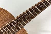 Taylor Jacob Collier Academy 22e 5-String