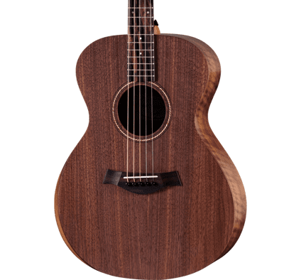 Taylor Jacob Collier Academy 22e 5-String