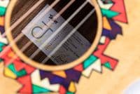 Taylor Jacob Collier GS Mini 5-String