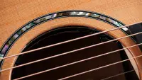 Taylor Next Generation 512ce