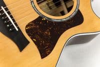 Taylor Next Generation 712ce, Guitar with case
