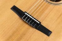 Taylor Sunset Blvd 312e-N Grand Concert Nylon Guitar with Case