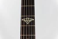 Taylor The Last of Us Replica 314c Guitar with Case