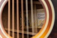 Taylor The Last of Us Replica 314c Guitar with Case