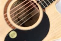 The Maton Performer Guitar, with Case