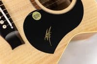 The Maton Performer Guitar, with Case