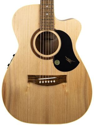 The Maton Performer, with Case