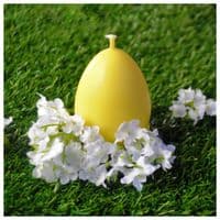 Candle Making Kit, Easter Egg Mould,  240g Kerax Wax, Wick Holder & 1m of Wick. S7832