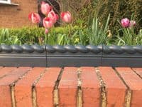 Garden Border / Lawn Edging Panels. Rope Top.  UK Made X8172
